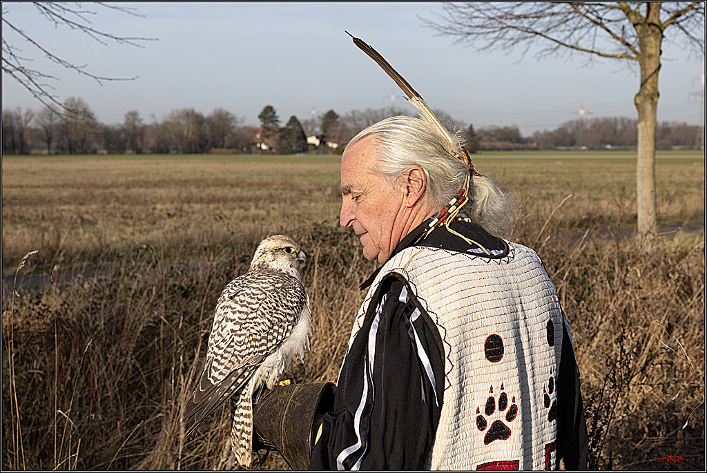 Cheyenne-Halbblut Hunting Wolf in der Falknerei Pierre Schmidt; Gymnich, 09.02.2023